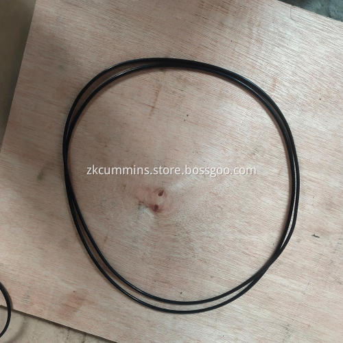 3000859 Cummins O Ring Seal
